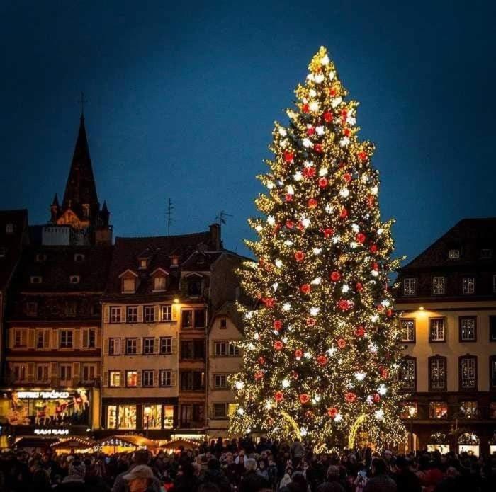 Gites Spa Strasbourg - Villa Ours - Spa Prive, Sauna, Borne D'Arcade, Babyfoot Ittenheim Eksteriør bilde